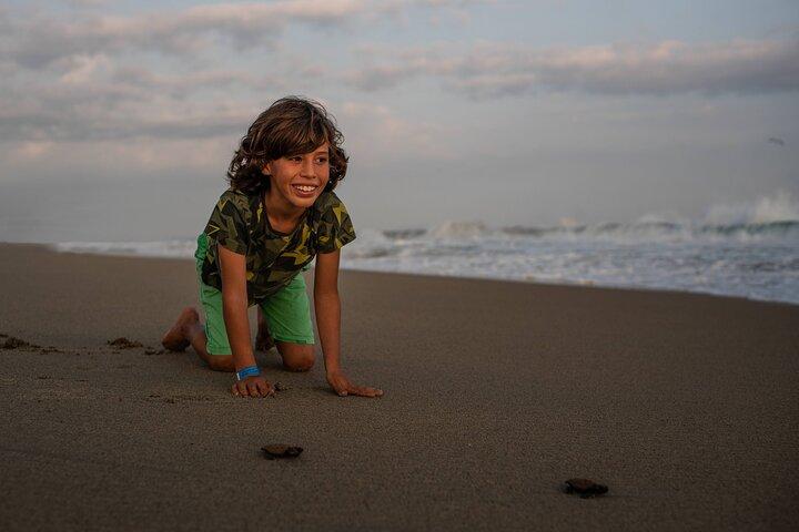 Unique Turtle Sanctuary & Sunset Experience