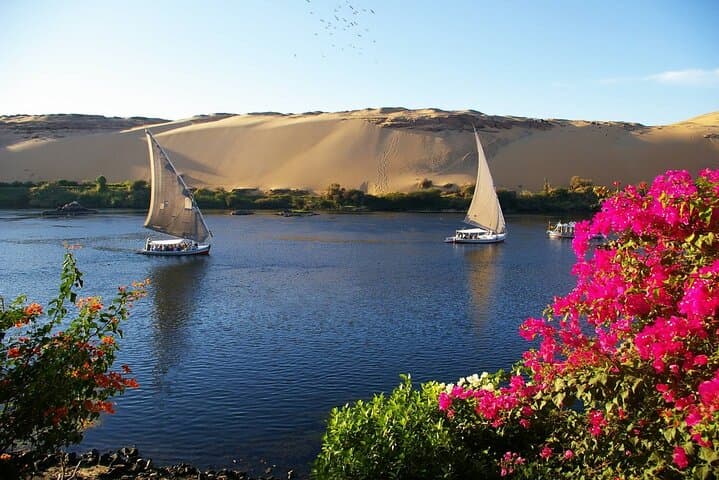 felucca trip