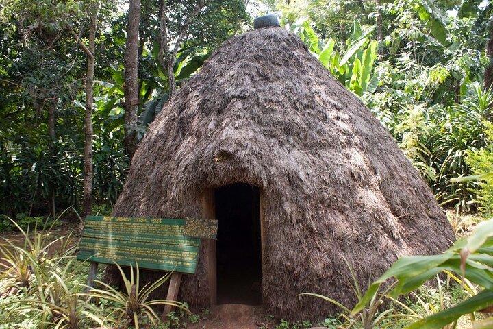 Marangu waterfall & Coffee making Cultural Tour | BURIGI CHATO SAFARIS CO LTD