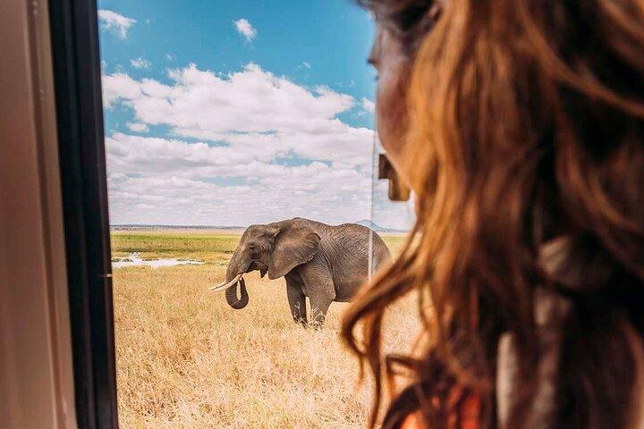 3-Day Taste of Tanzania Safari (Tarangire National park and Ngorongoro Crater)