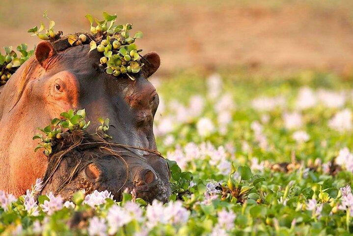 3-Day Taste of Tanzania Safari (Tarangire National park and Ngorongoro Crater)