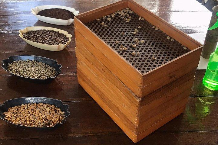Blue Mountains Coffee Private Tour from Kingston