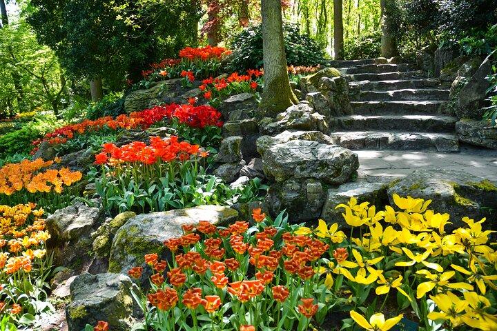 Keukenhof Gardens & Tulip Experience Tour from Amsterdam