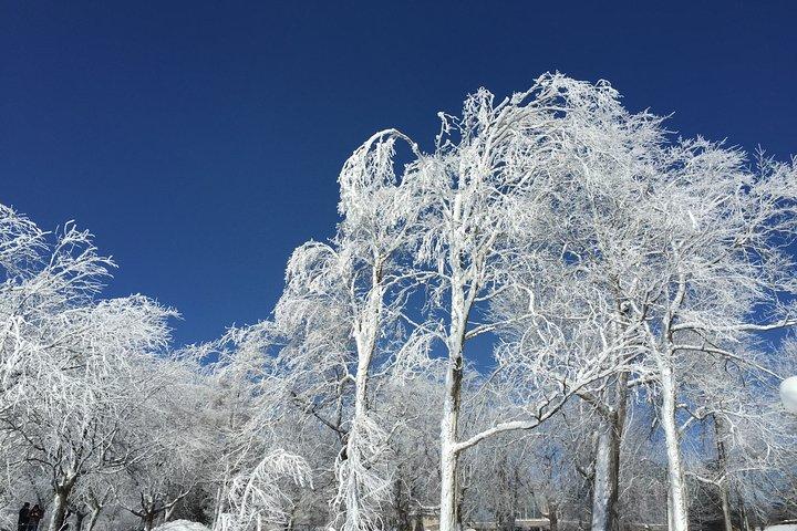 Niagara Falls Winter Wonderland Small Group Tour