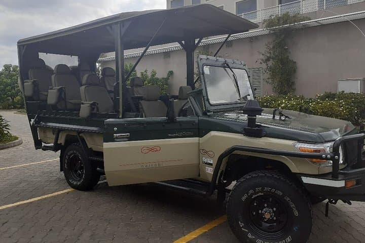 Half-Day Private Tour in Open Jeep at Nairobi Park