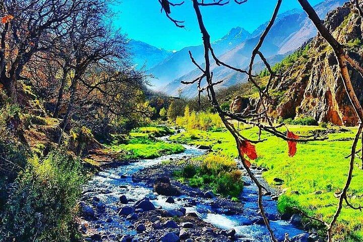 Day Trip from Marrakech to the Atlas Mountains