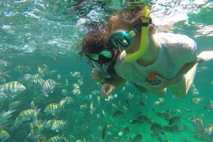 Speed Boat and Snorkeling in Punta Cana Bavaro