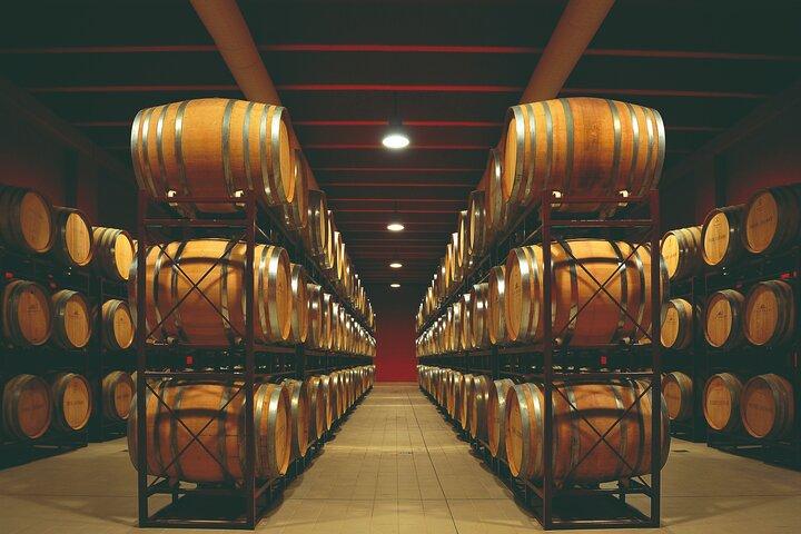 Winery Tour and Wine Tasting in Montepulciano d'Abruzzo