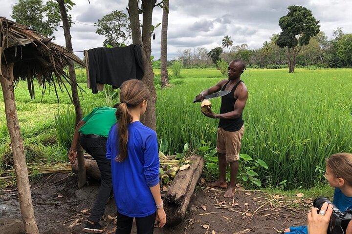 Book Day Hike at Rau Forest Reserve, Near Moshi Town in Tanzania