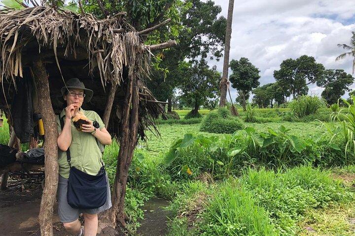 Book Day Hike at Rau Forest Reserve, Near Moshi Town in Tanzania