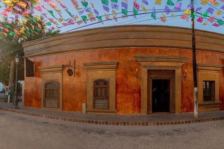 Private 6-Hour Todos Santos Tour from Los Cabos