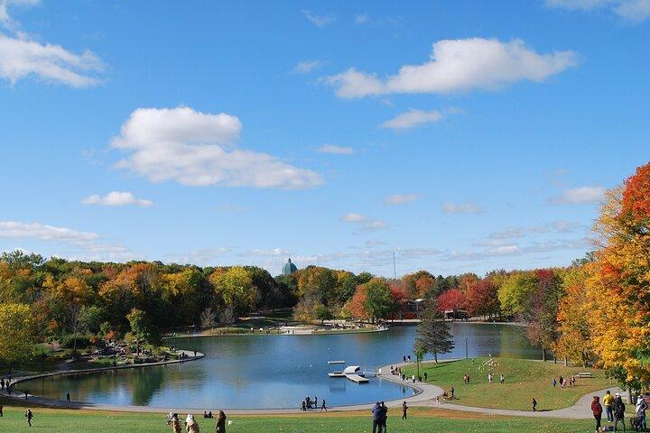 Small-Group Sightseeing Tour of Montreal
