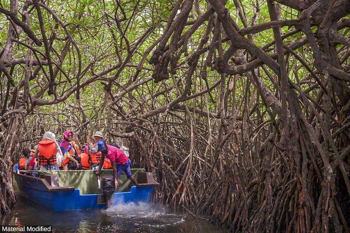 Sri Lanka: See & Experience it ALL in 10 Days, 1st Class Custom Tours