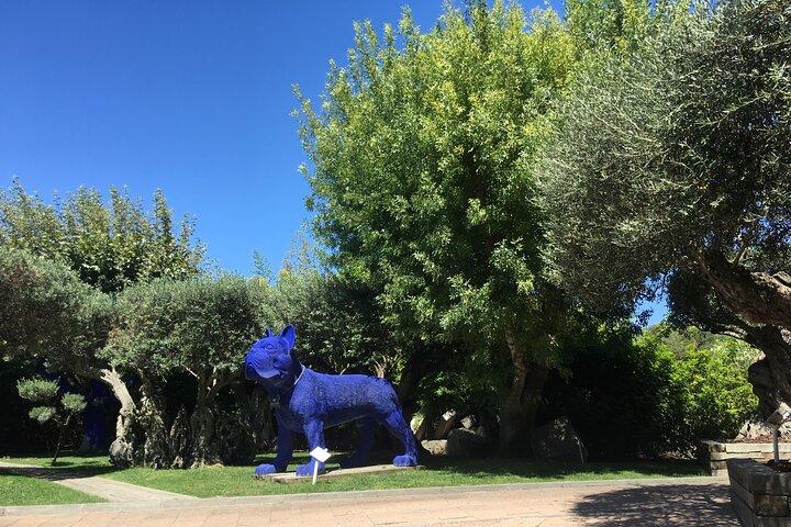 Arrábida Private Tour - Half Day