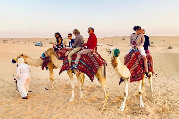 Morning Red Dune Safari with Camel Trekking and sand boarding
