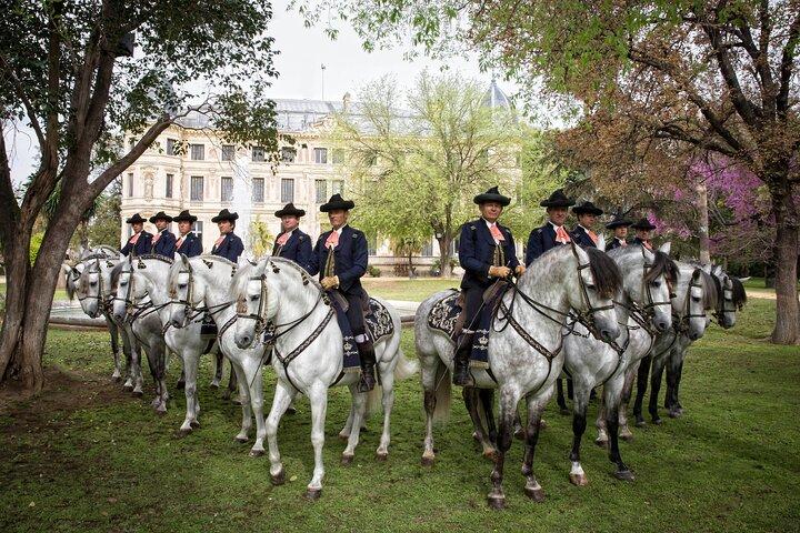 Andalusian Horses Dance Show