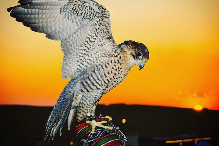 Dubai Red Dune Desert Safari, Camels, Sandboarding & BBQ Options