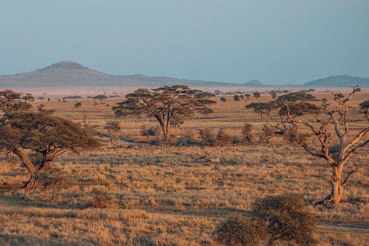 5-Days Private Safari Tour in Trangire, Serengeti, and Ngorongoro Crater