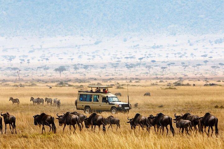 4-Day |Sharing Safari, Tarangire, Serengeti, Ngorongoro