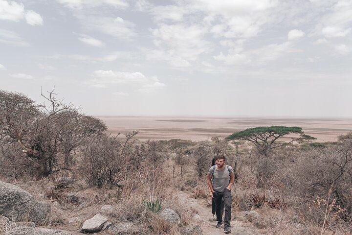 5-Days Private Safari Tour in Trangire, Serengeti, and Ngorongoro Crater