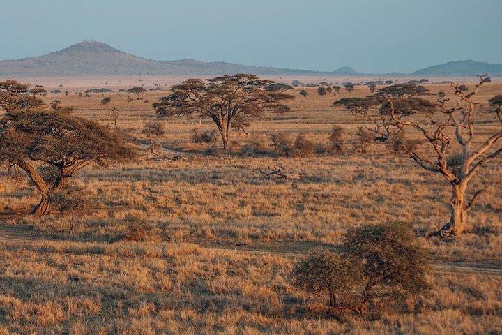 4-Day |Sharing Safari, Tarangire, Serengeti, Ngorongoro