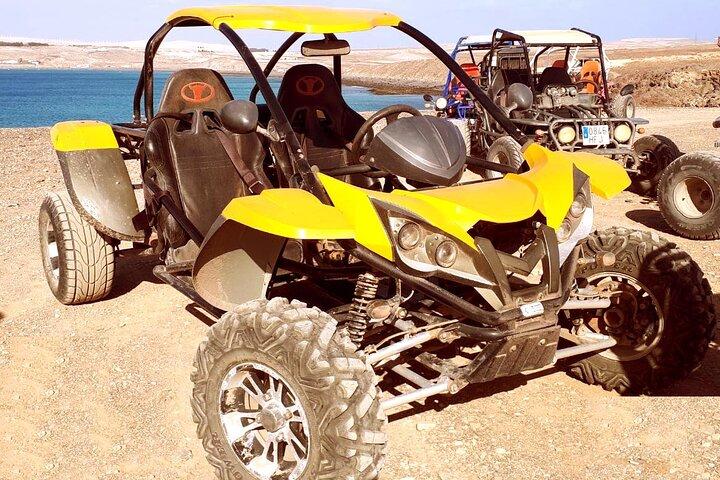 Buggy Safari In Costa Calma