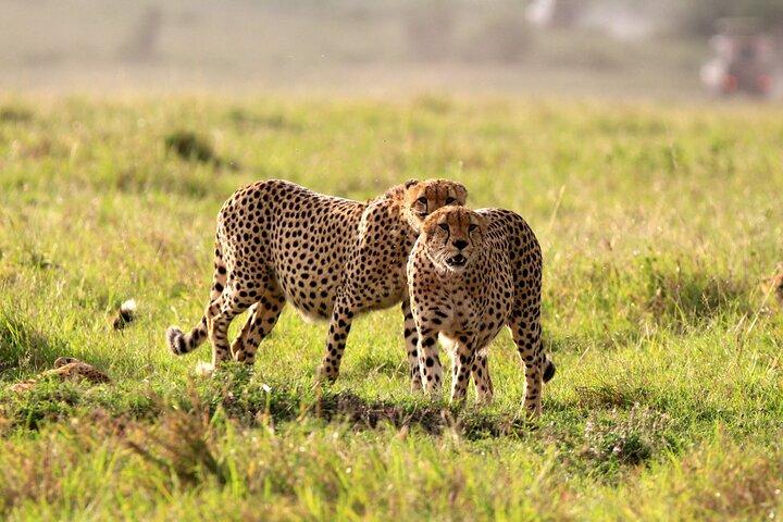8-Day Amazing Kenya Holiday Safari