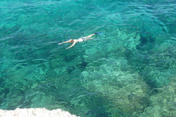 Boat tour to explore the Marine Protected Area of Tavolara