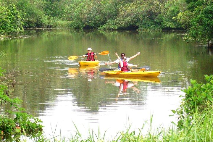 Goa Kayaking Sal Backwaters Mangroves Magic!