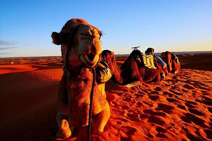 Private 3 Day Luxury Desert Tour from Fez to Marrakech