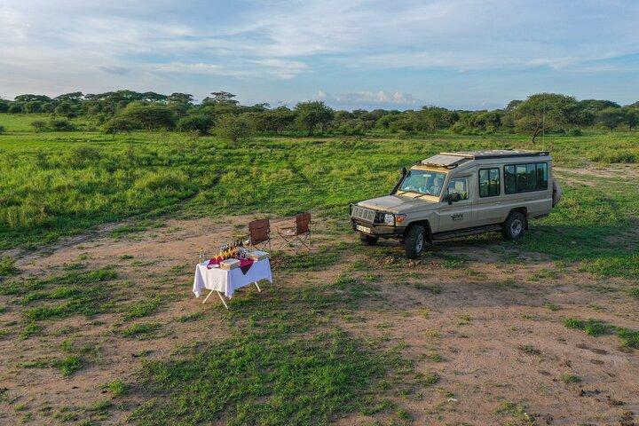 3-Day Classic Serengeti Safari