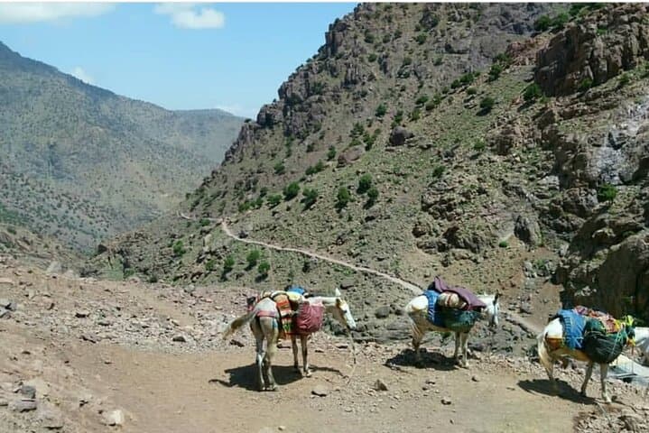 From Marrakech: 2 Days Atlas Mountain Trek & Mount Toubkal Summit