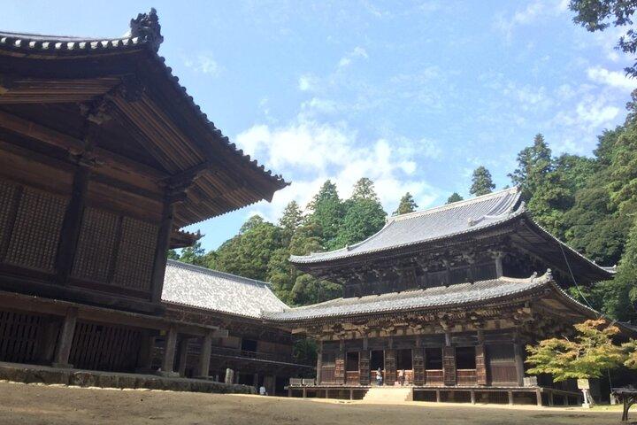 Full-Day Private Guided Tour to Himeji Castle