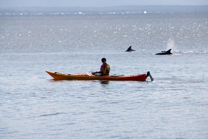 Half-Day Jervis Bay Sea Kayak Tour