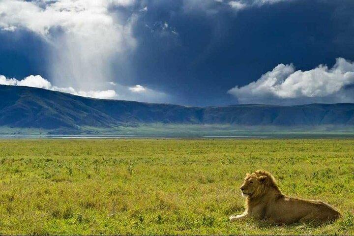 3 Day Sharing Safari - Manyara, Ngorongoro Crater and Tarangire National Parks
