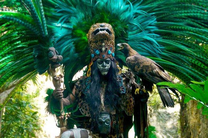 Full-Day Tour to Xcaret Plus with Lunch from Playa del Carmen