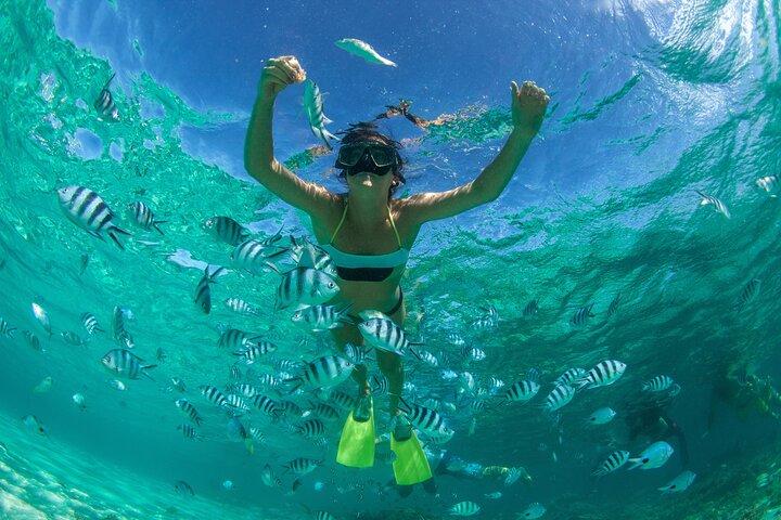 Isla Mujeres tour 12 p.m. Best time Less People