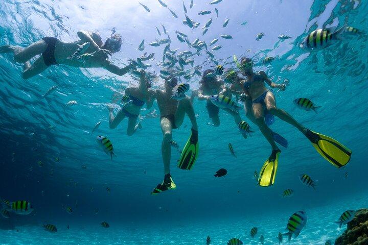 Catamaran Isla Mujeres Tour with Hotel Pick Up included