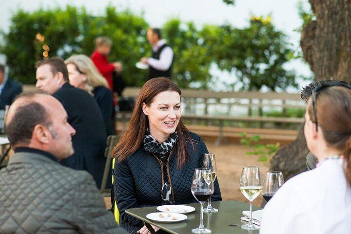 Half Day Stellenbosch Winelands Private Tour from Cape Town