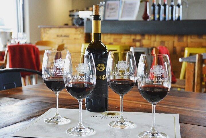 Half Day Stellenbosch Winelands Private Tour from Cape Town