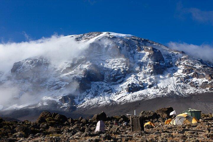 Private 8 day Northern Circuit Kilimanjaro Climb