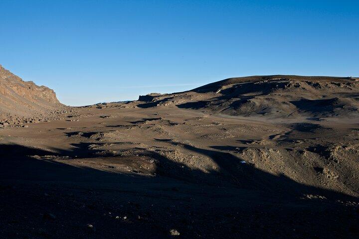 Private 8 day Northern Circuit Kilimanjaro Climb