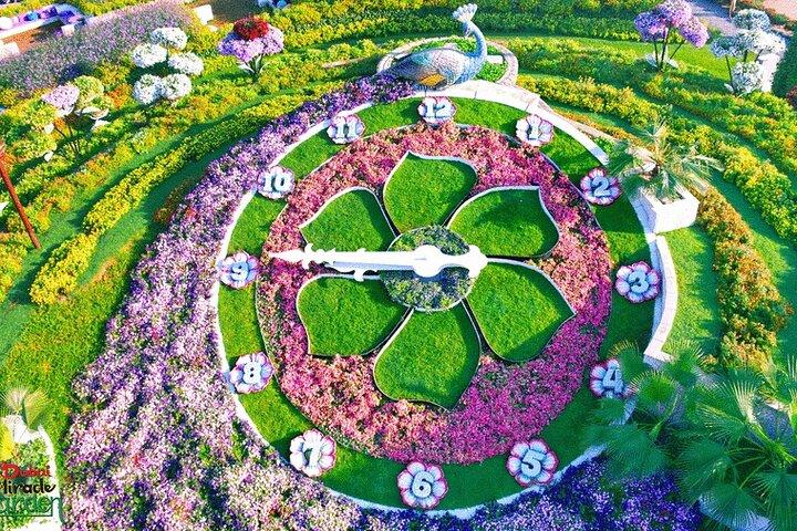 Dubai Miracle Garden and Butterfly Garden with Private Transfers
