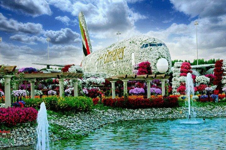 Dubai Miracle Garden and Butterfly Garden with Private Transfers