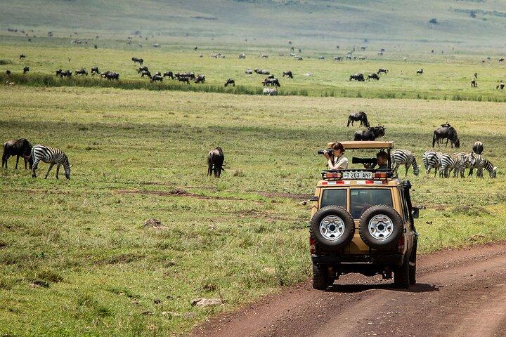 6-Day Tanzania Safari & Cultural Discovery