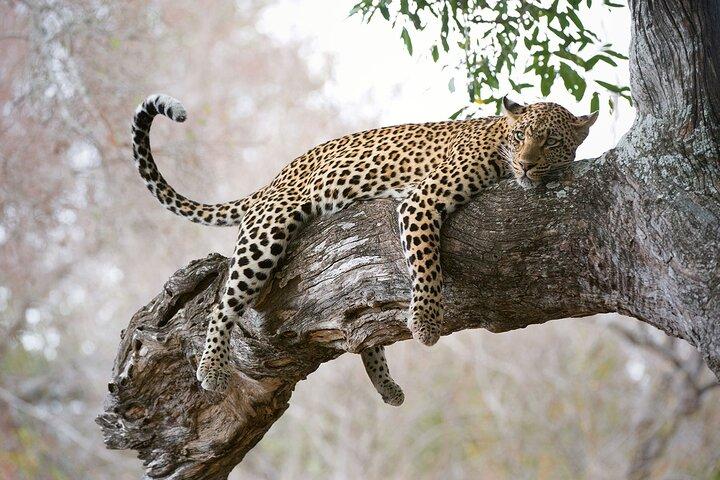 6-Day Tanzania Safari & Cultural Discovery