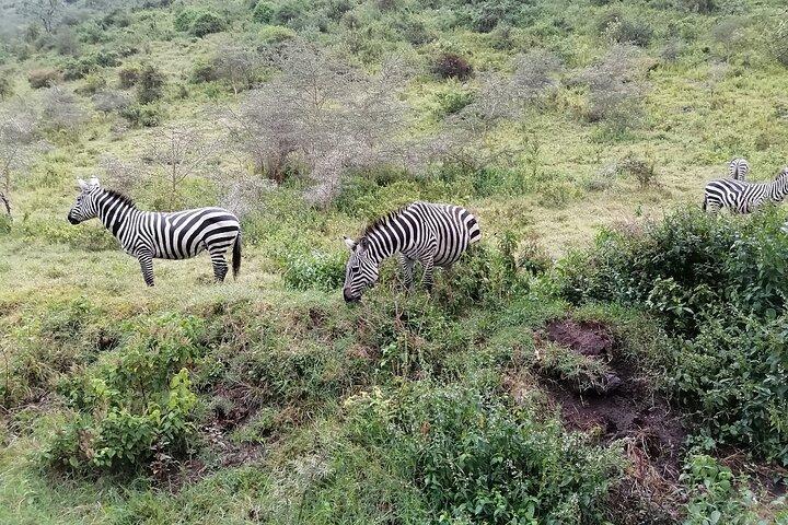 Hell's Gate National Park Private Bike Tour from Nairobi