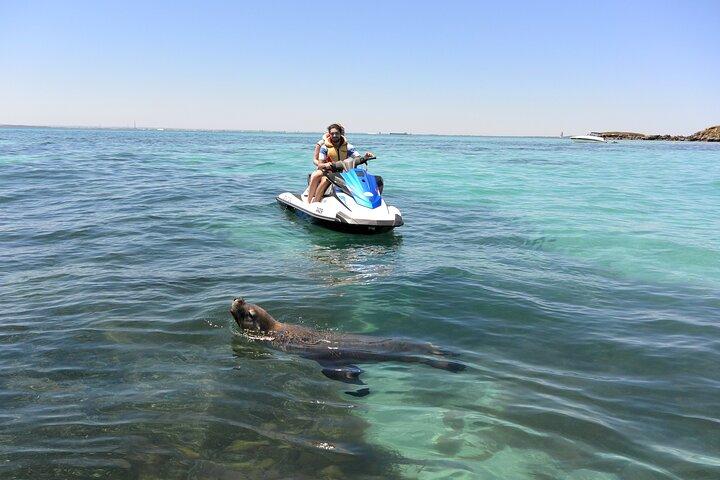 Perth Jet Ski Tour