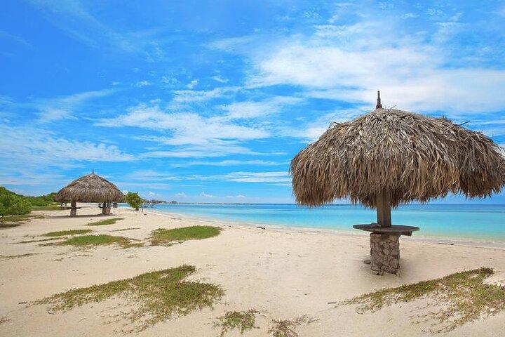 Aruba Jeep Tour: Natural Pool, Caves and Baby Beach Adventure