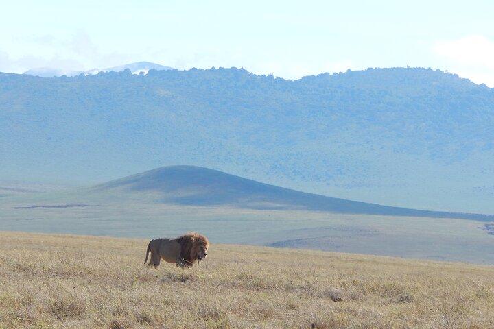 2 Days Tarangire and Ngorongoro Crater Tour